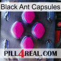 Black Ant Capsules 02